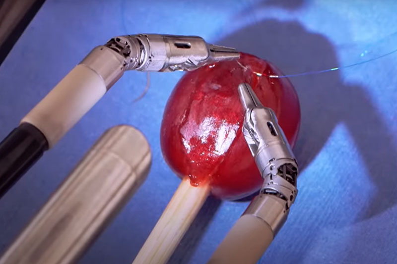 Veja o robô Da Vinci em ação: costurando uma uva com delicadeza cirúrgica